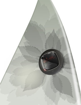 Illustration for article titled Surfboard with GPS and Radio